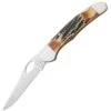Bear & Son 5149L 3 3/4 Inch Genuine India Stag Lockback Folding Pocket Knife