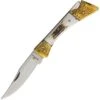 Rough Rider 1396 Stag Lockback Knife